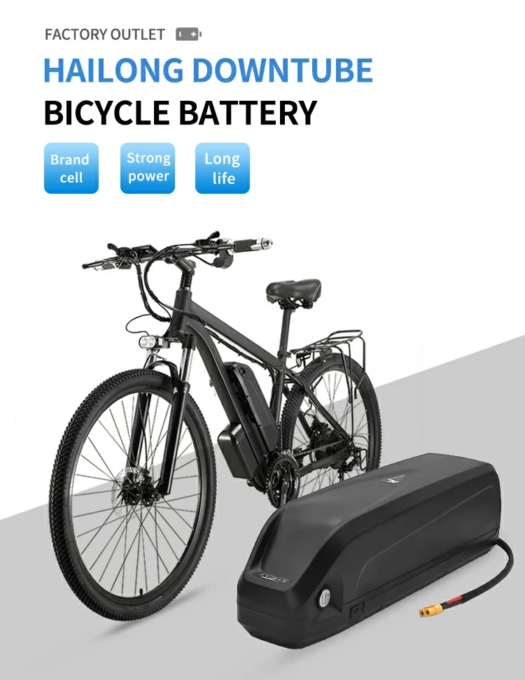 O melhor guia do comprador para baterias de bicicleta eletrônica para 2025: t...